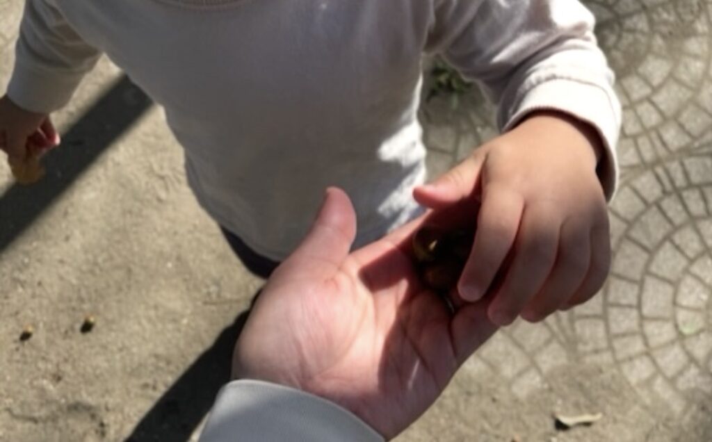 どんぐりを欲しがっている子